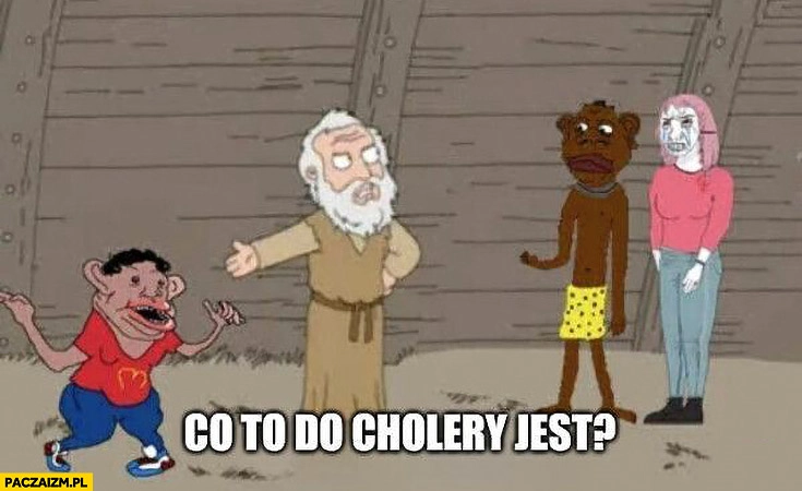 Co to do cholery jest Arka Noego czarne dziecko czokapik