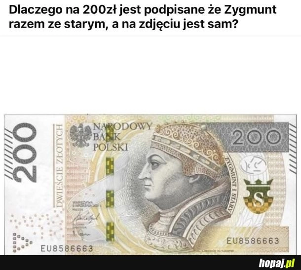 
    Zygmunt i stary