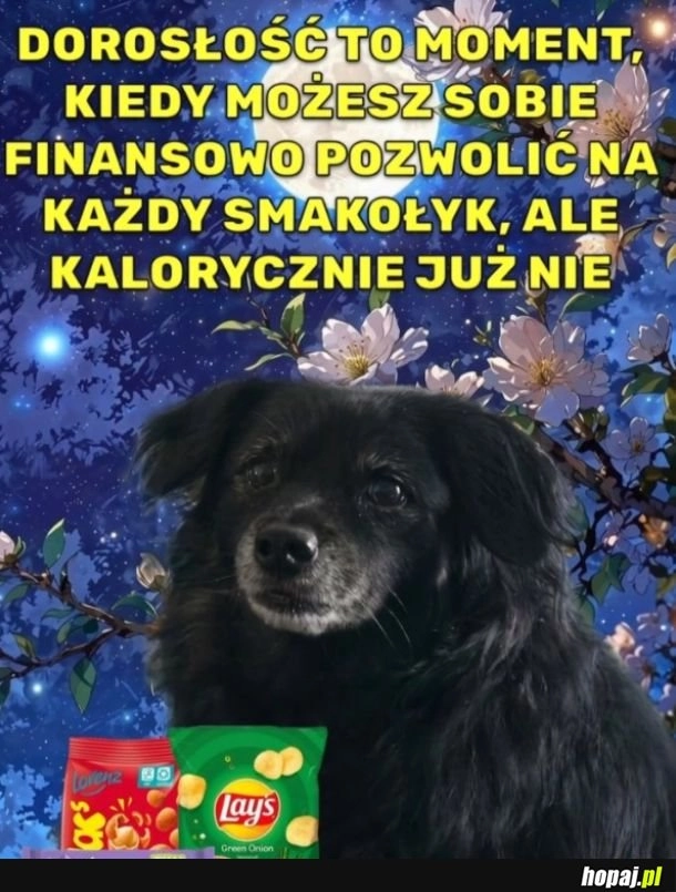 
    Dorosłość
