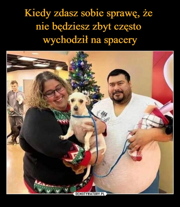 
    Kiedy zdasz sobie sprawę, że 
nie będziesz zbyt często 
wychodził na spacery