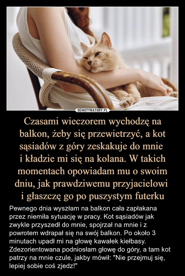 
    Czasami wieczorem wychodzę na balkon, żeby się przewietrzyć, a kot sąsiadów z góry zeskakuje do mnie 
i kładzie mi się na kolana. W takich momentach opowiadam mu o swoim dniu, jak prawdziwemu przyjacielowi 
i głaszczę go po puszystym futerku