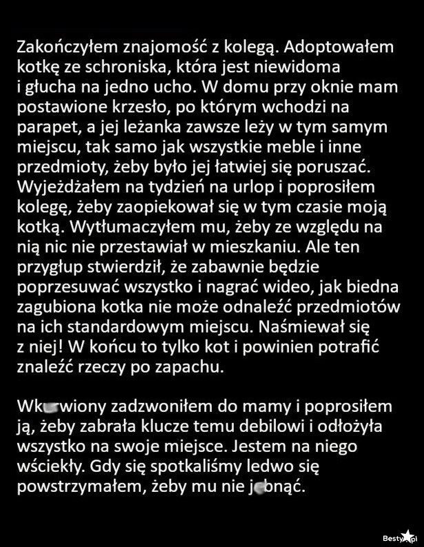 
    Głupi i nieodpowiedzialny kolega 