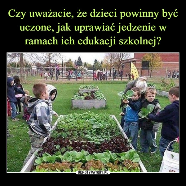 
    Czy uważacie, że dzieci powinny być uczone, jak uprawiać jedzenie w ramach ich edukacji szkolnej?