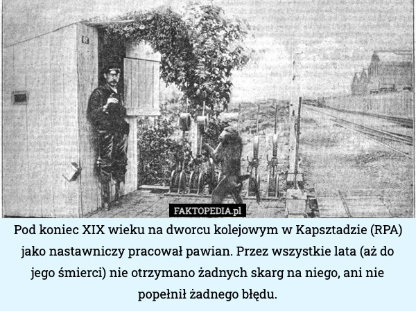 
    Pod koniec XIX wieku na dworcu kolejowym w Kapsztadzie (RPA) jako nastawniczy