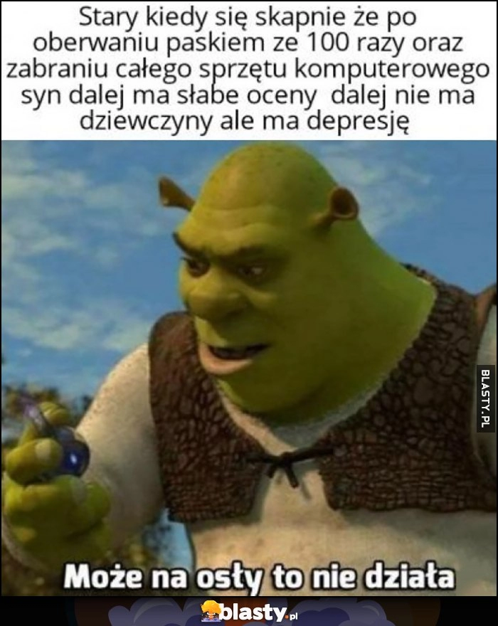 
    Shrek stary kiedy się skapnie, że po oberwaniu paskiem ze 100 razy oraz zabraniu komputeraz syn dalej ma słabe oceny, nie ma dziewczyny ale ma depresję, może na osły to nie działa