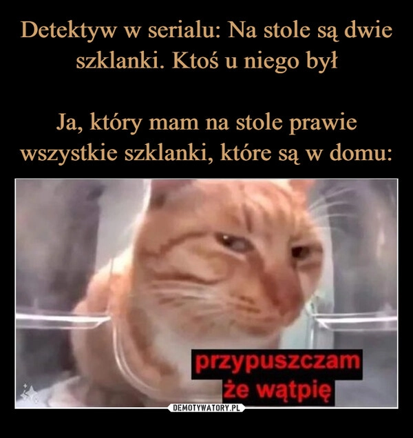 
    Detektyw w serialu: Na stole są dwie szklanki. Ktoś u niego był

Ja, który mam na stole prawie wszystkie szklanki, które są w domu: