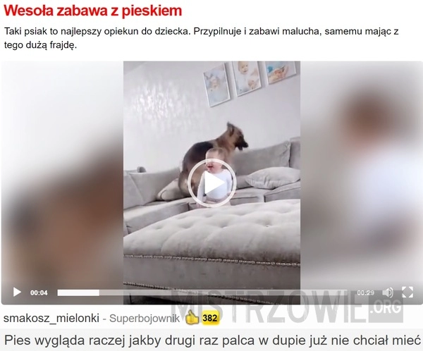 
    
			Zabawa z pieskiem					