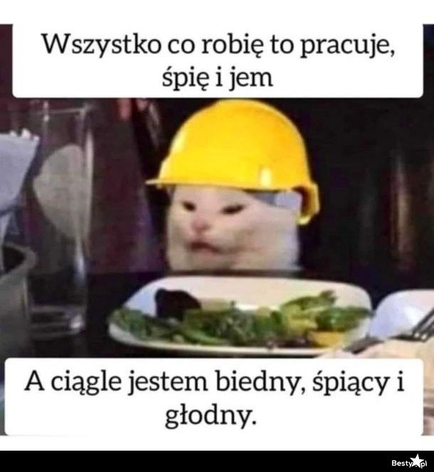 
    Życie 