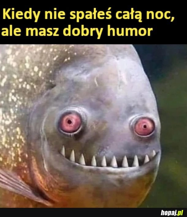 
    Dobry humor