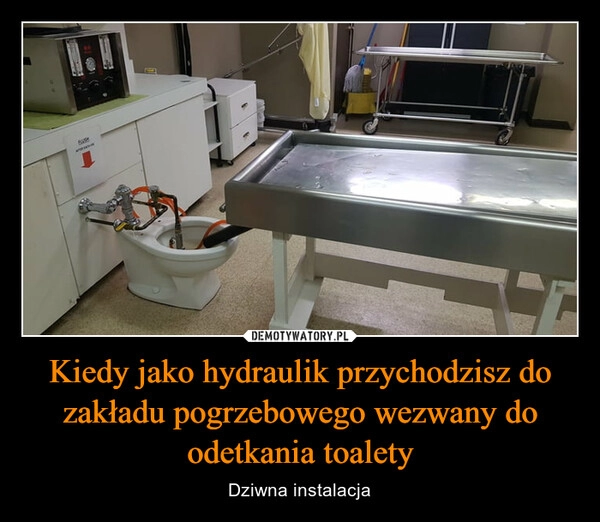 
    Kiedy jako hydraulik przychodzisz do zakładu pogrzebowego wezwany do odetkania toalety