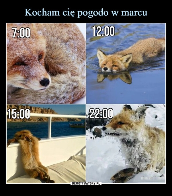 
    Kocham cię pogodo w marcu