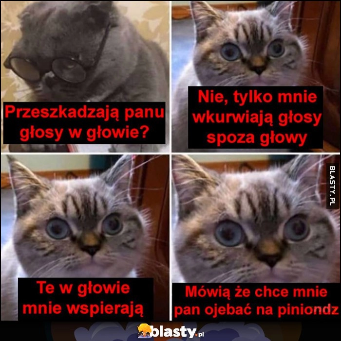 
    Kot u psychologa: przeszkadzają panu głosy w głowie? Nie tylkjo wkurzają mnie głosy spoza głowy, te w głowie mnie wspierają, mówią że chce mnie pan okraść na pieniądze