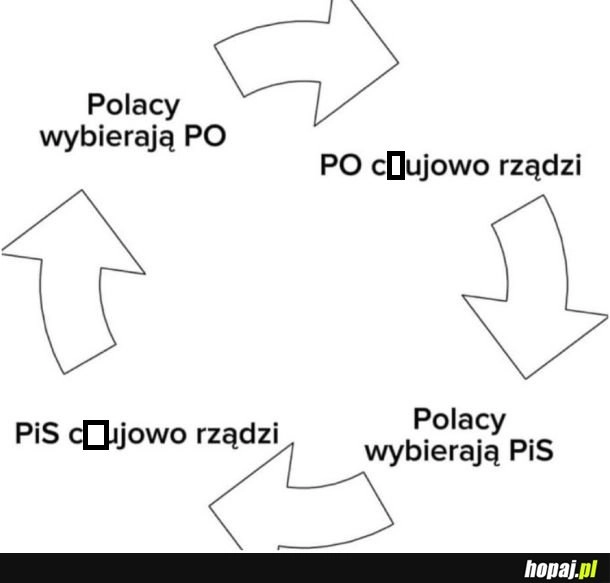 
    Wybory