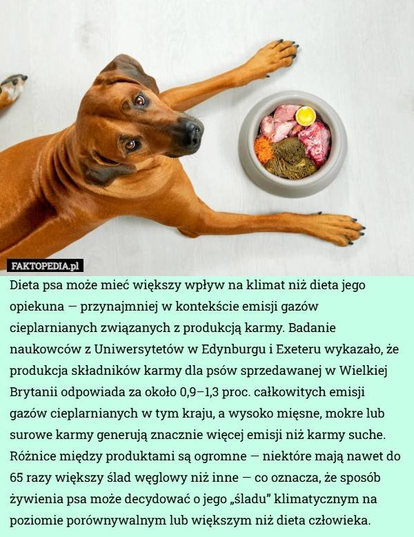 
    Dieta psa może mieć większy wpływ na klimat niż dieta jego opiekuna — przynajmniej