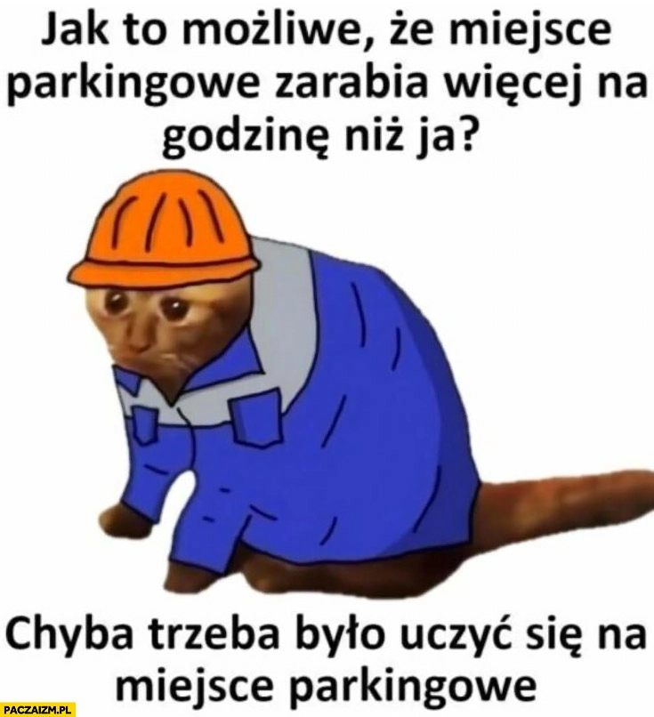 
    Jak to możliwe, że miejsce parkingowe zarabia więcej na godzinę niż ja, trzeba było uczyć się na miejsce parkingowe