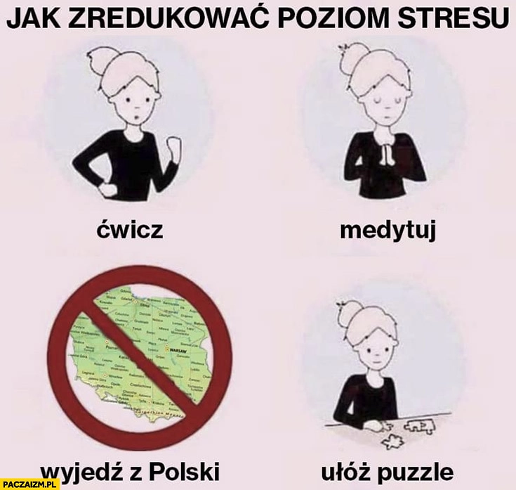 
    Jak zredukować poziom stresu ćwicz, medytuj, wyjedź z Polski ułóż puzzle