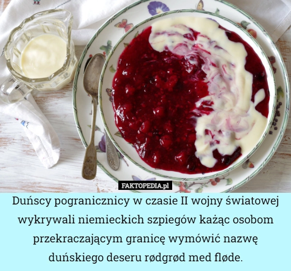 
    Duńscy pogranicznicy w czasie II wojny światowej wykrywali niemieckich szpiegów