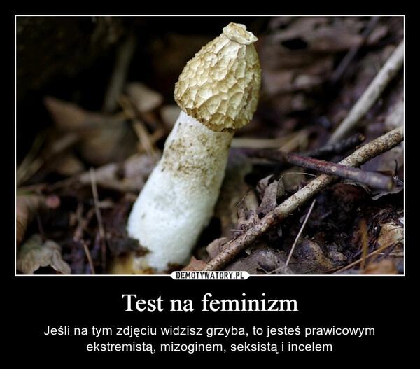 
    Test na feminizm