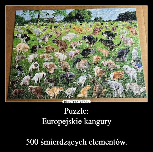 
    Puzzle:
Europejskie kangury

500 śmierdzących elementów.