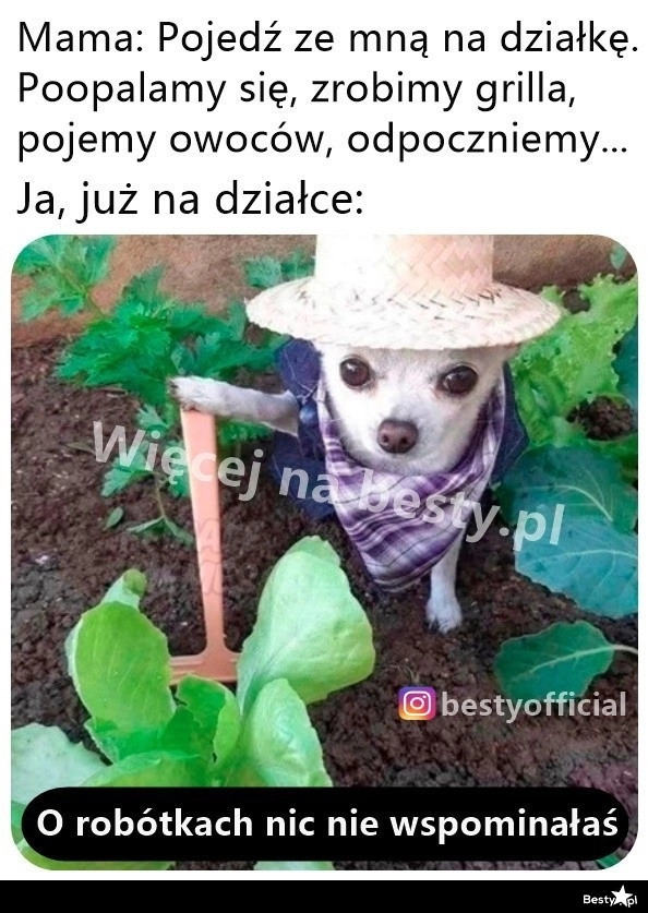 
    Wyjazd na działkę 