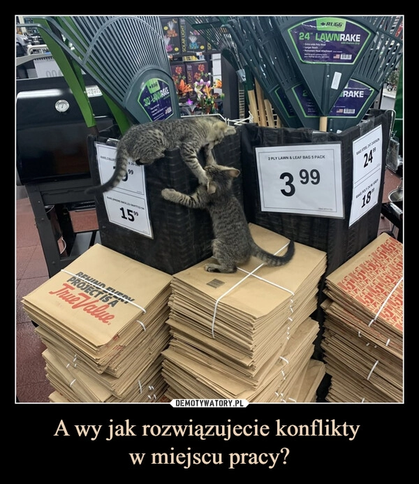 
    A wy jak rozwiązujecie konflikty 
w miejscu pracy?