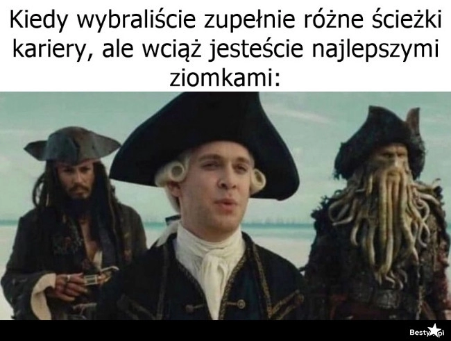 
    Solidna przyjaźń 