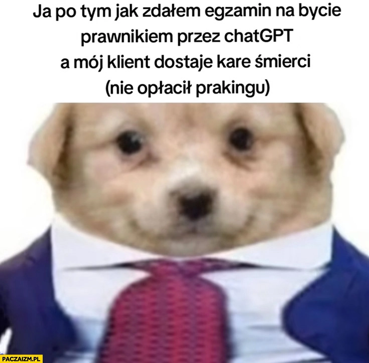 
    Ja po tym jak zdałem egzamin na prawnika przez Chat GPT a mój klient dostaje kare śmierci (nie opłacił parkingu)