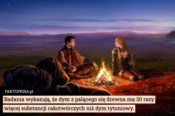 
    Badania wykazują, że dym z palącego się drewna ma 30 razy więcej substancji