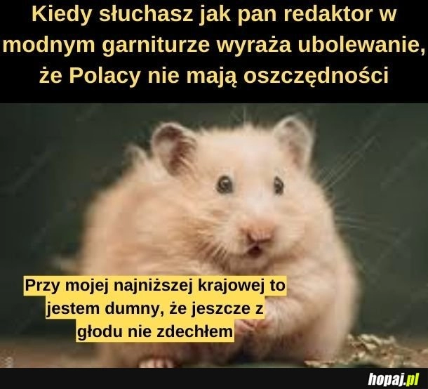 
    Oszczędności. 