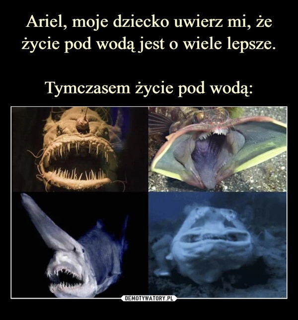 
    Ariel, moje dziecko uwierz mi, że życie pod wodą jest o wiele lepsze.

Tymczasem życie pod wodą: