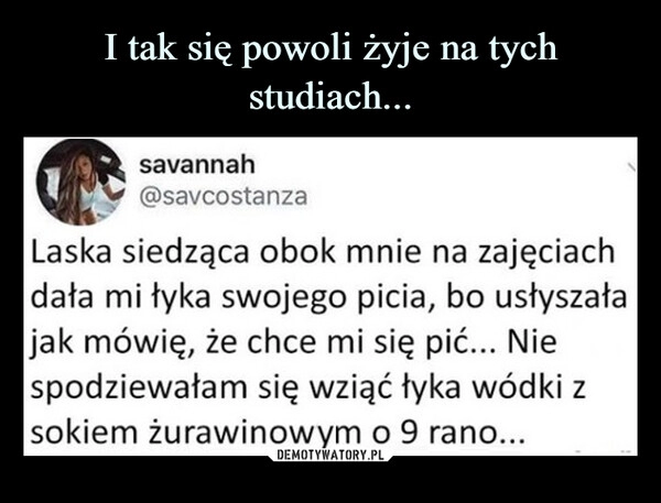 
    I tak się powoli żyje na tych studiach...