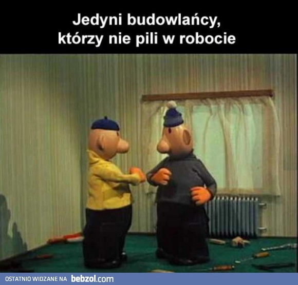 
     Jedyni budowlańcy