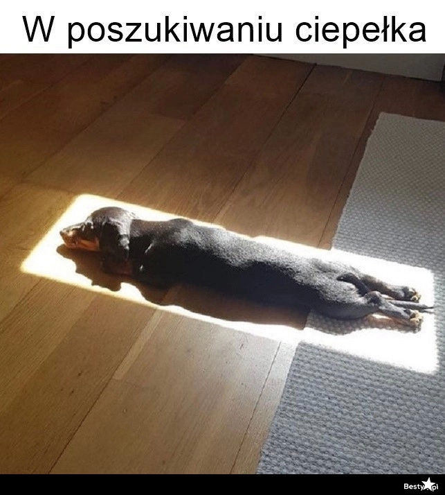 
    Czas na wygrzewanko 