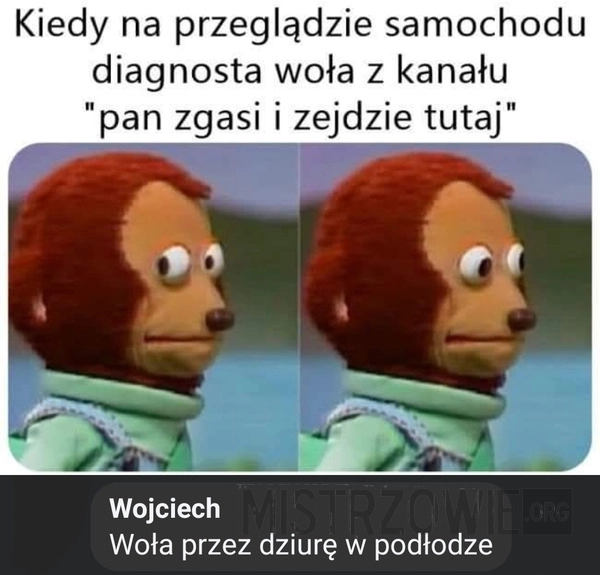 
    Przegląd