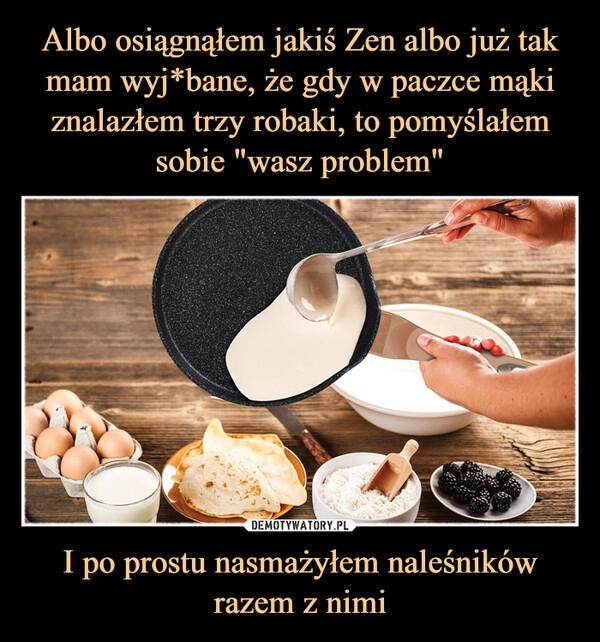 
    Albo osiągnąłem jakiś Zen albo już tak mam wyj*bane, że gdy w paczce mąki znalazłem trzy robaki, to pomyślałem sobie "wasz problem" I po prostu nasmażyłem naleśników razem z nimi