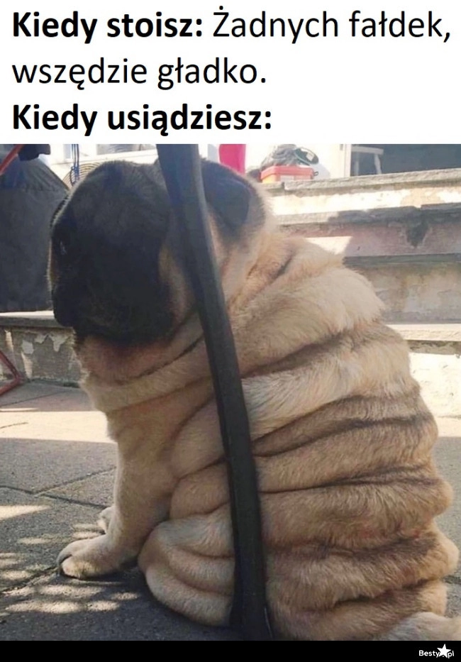 
    Fałdki witajcie 