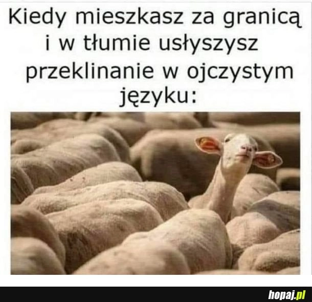
    Znany język