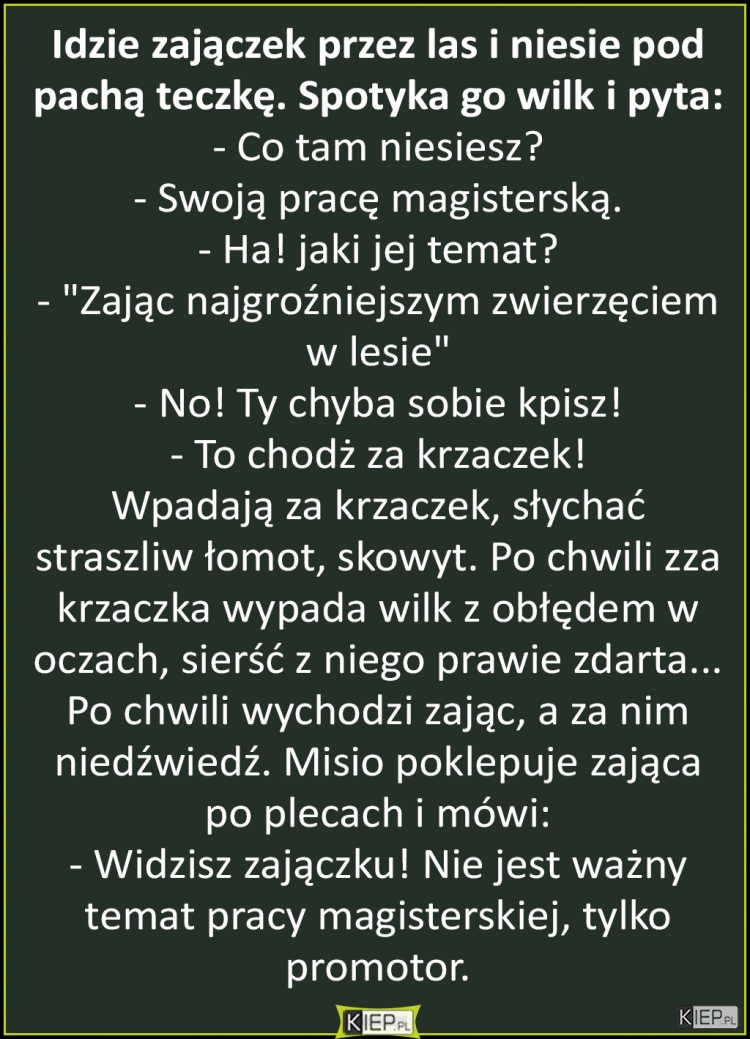 
    Idzie zajączek przez las i niesie pod pachą teczkę. Spotyka go wilk i pyta...