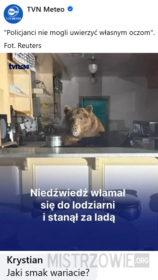 
    Niedźwiedź