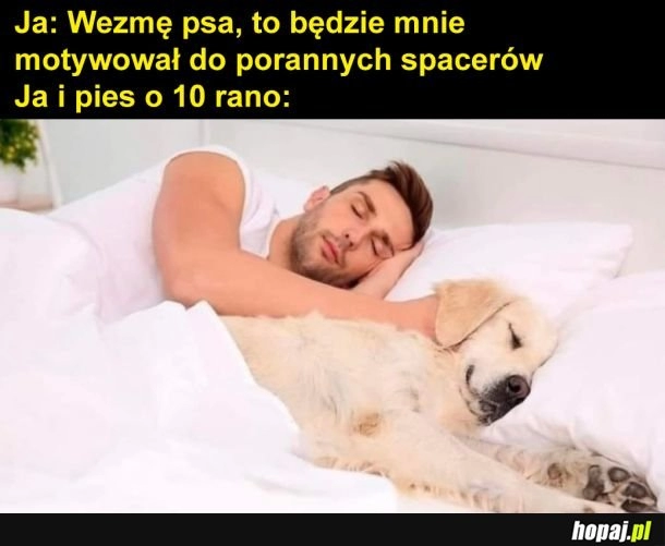 
    Życie z psem