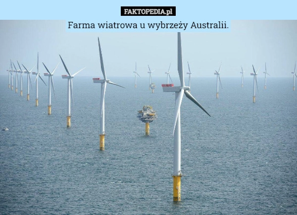 
    Farma wiatrowa u wybrzeży Australii.