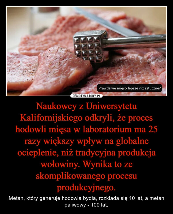 
    Naukowcy z Uniwersytetu Kalifornijskiego odkryli, że proces hodowli mięsa w laboratorium ma 25 razy większy wpływ na globalne ocieplenie, niż tradycyjna produkcja wołowiny. Wynika to ze skomplikowanego procesu produkcyjnego.