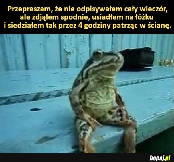 
    Dlatego nie odpisywałem