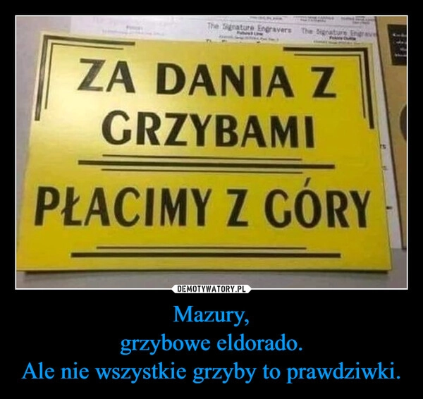 
    Mazury,
grzybowe eldorado.
Ale nie wszystkie grzyby to prawdziwki.