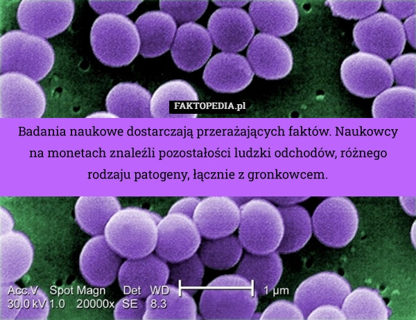 
    Badania naukowe dostarczają przerażających faktów. Naukowcy na monetach