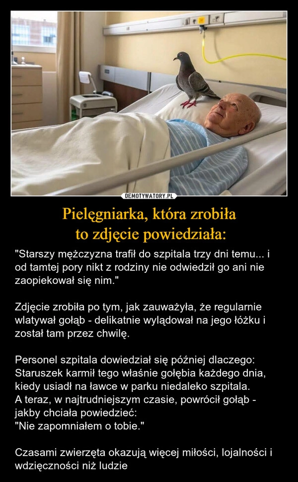 
    Pielęgniarka, która zrobiła
 to zdjęcie powiedziała: