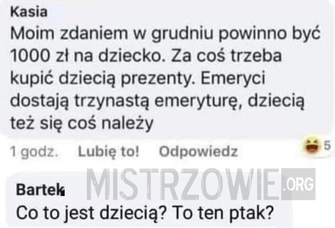 
    1000 zł