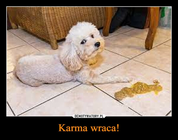 
    Karma wraca!