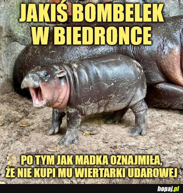 
    Bombelek.