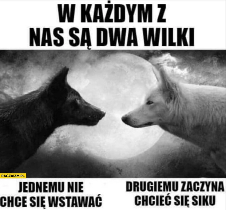 
    W każdym z nas są dwa wilki: jednemu nie chce się wstawać, drugiemu zaczyna chcieć się siku